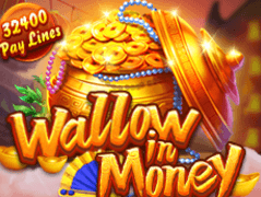 Wallow In Money game cover