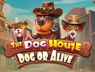 The Dog House - Dog Or Alive game cover